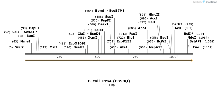 516360_map
