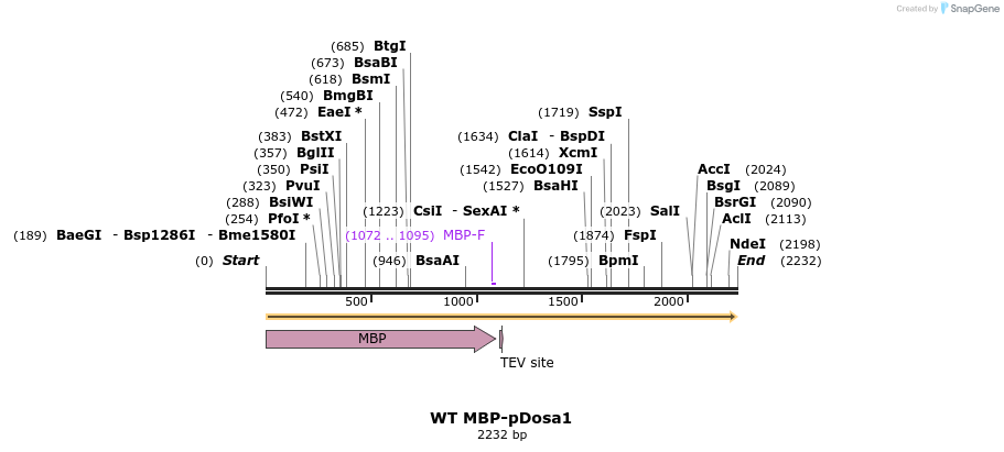 516365_map