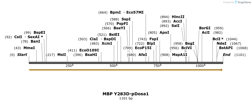516366_map