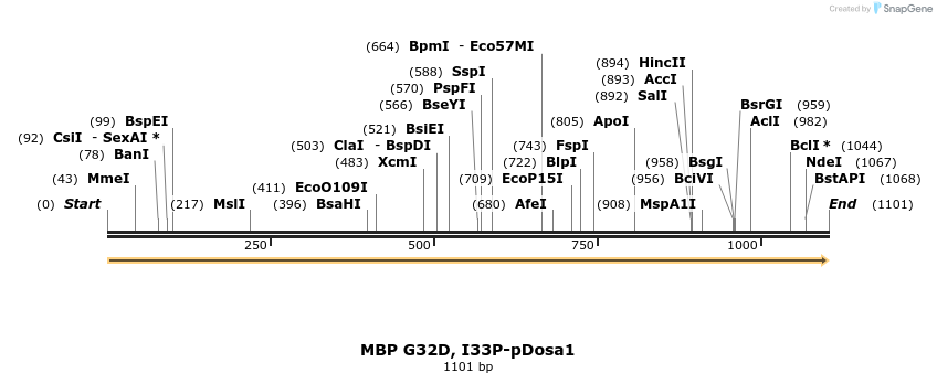516367_map