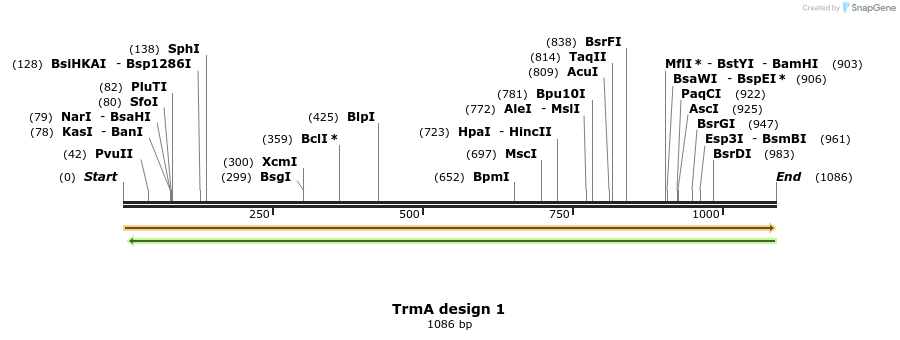 516369_map