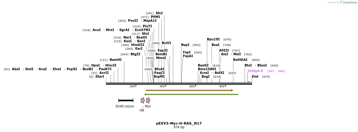 51637_map