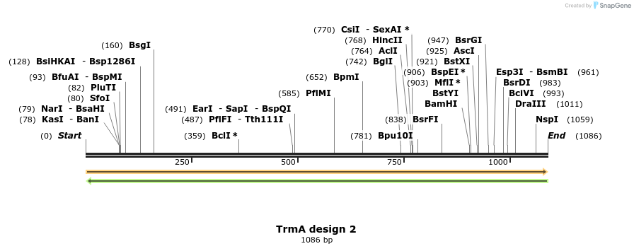 516370_map