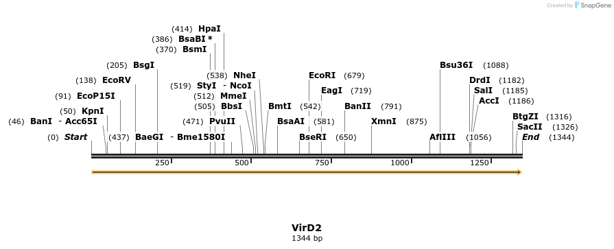 516371_map
