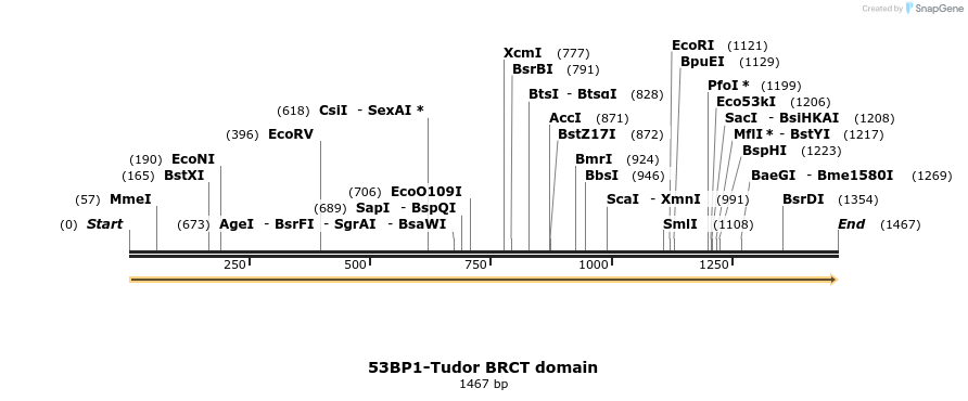 516372_map