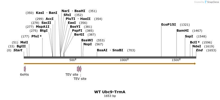 516373_map
