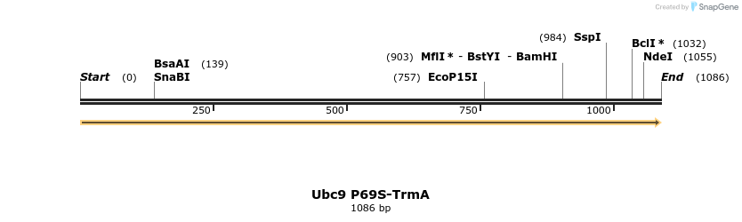 516374_map