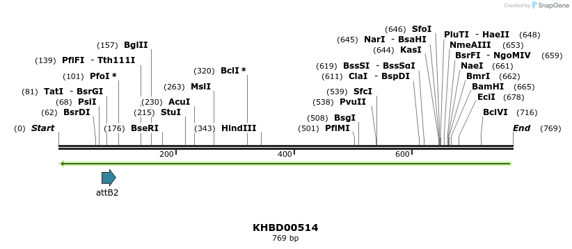 51647_map