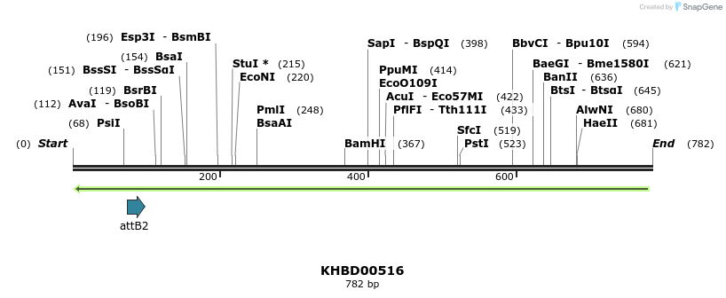 51652_map
