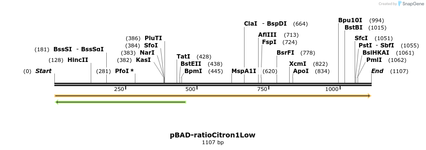516555_map