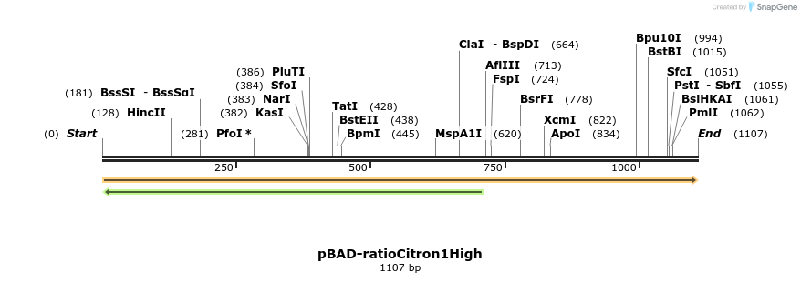 516556_map