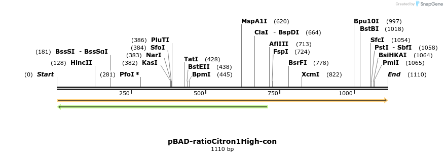 516558_map