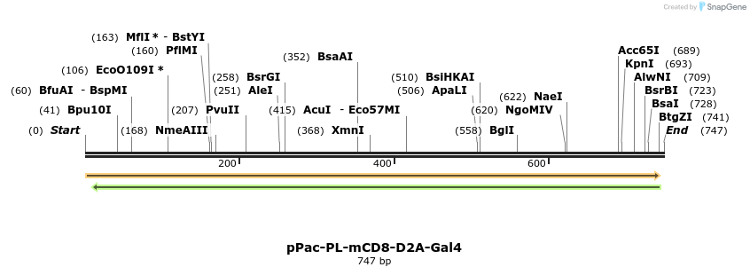 51657_map
