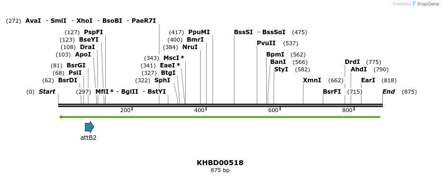 51660_map