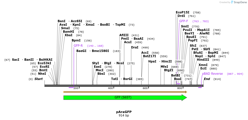 51662_map