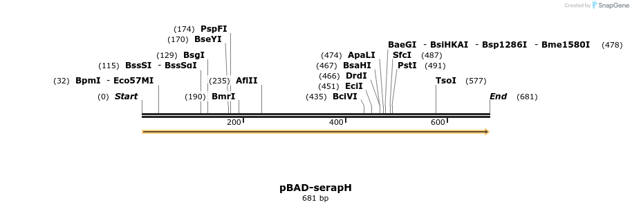 516678_map