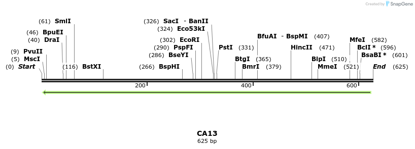 51678_map