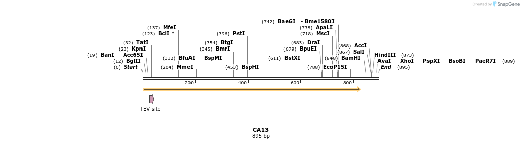 51679_map