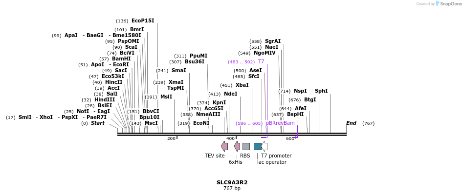 51682_map