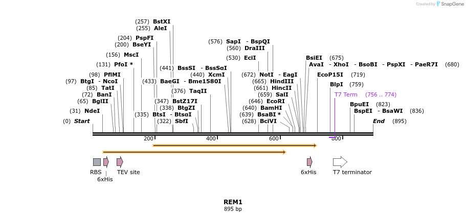 51685_map