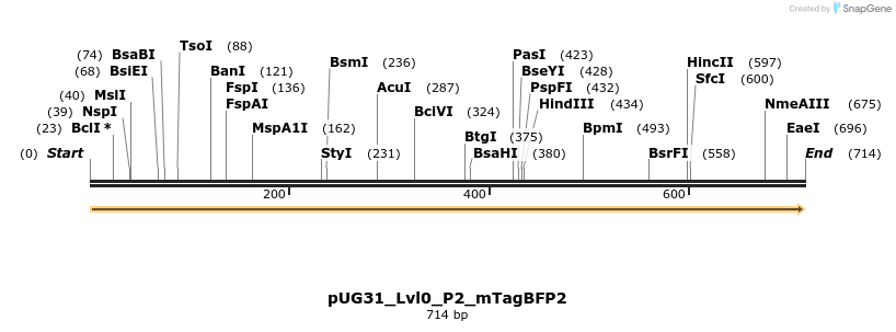516947_map