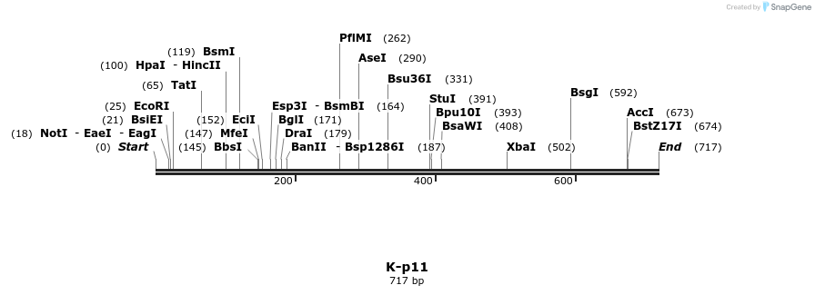 51697_map
