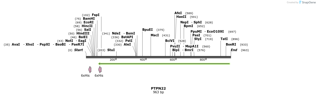 51698_map