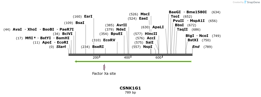 51699_map
