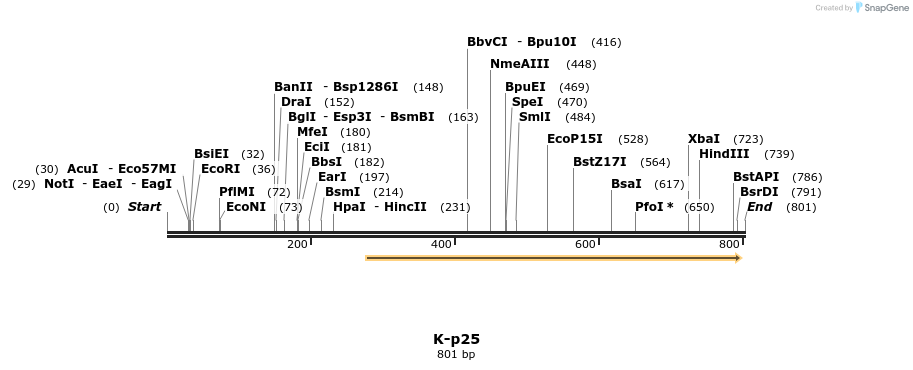 51700_map