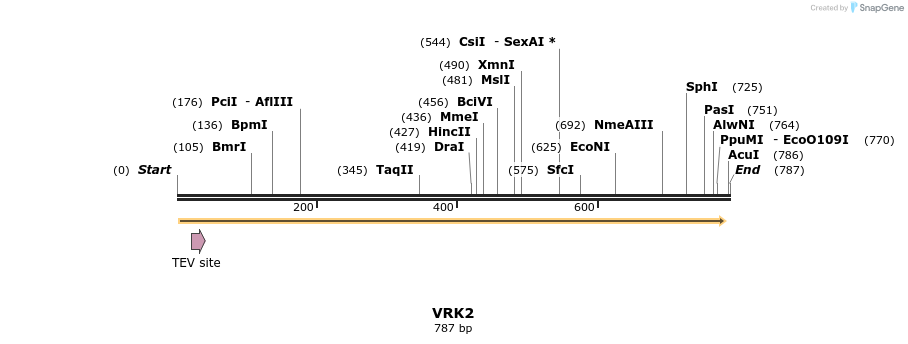 51701_map