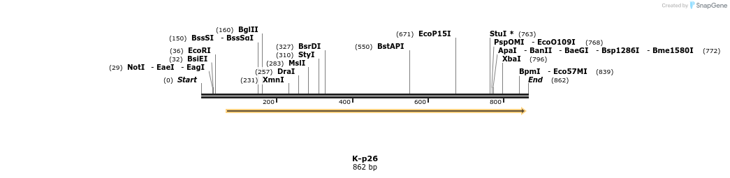 51703_map