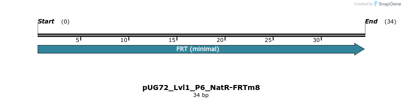 517037_map