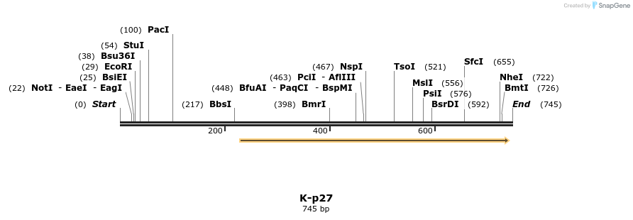 51704_map