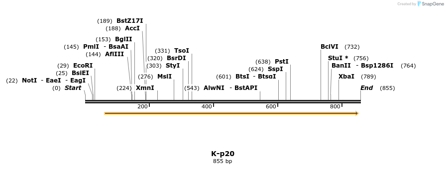 51706_map