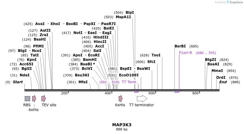 51707_map