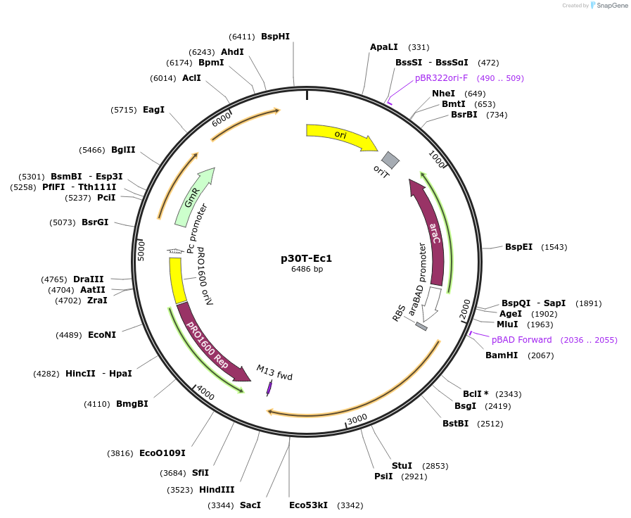 517072_map