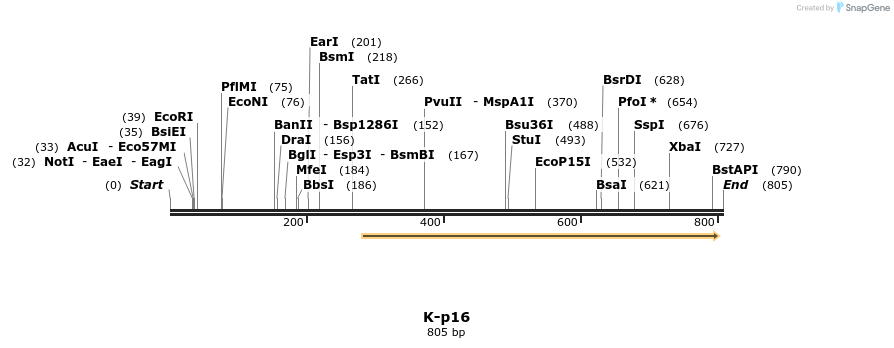 51710_map