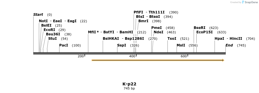 51712_map
