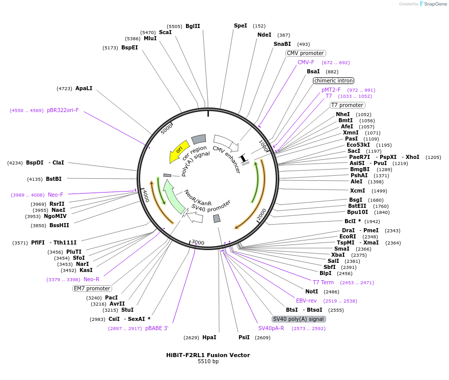 517133_map