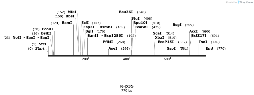 51714_map