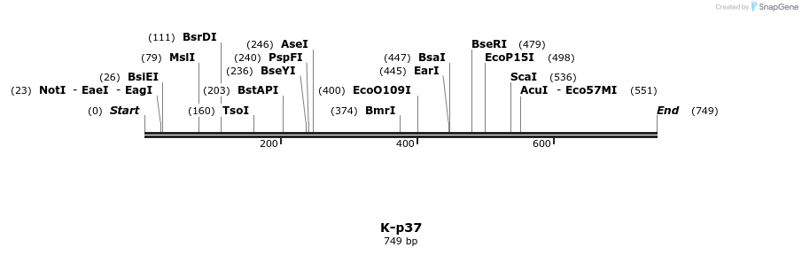 51715_map