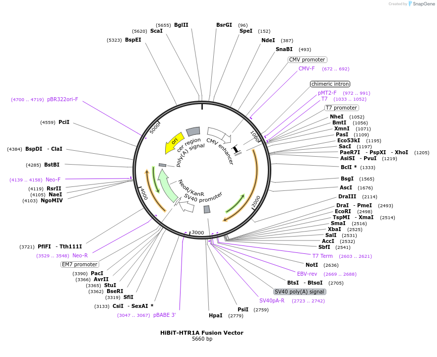517158_map