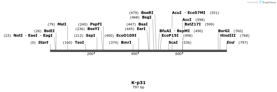 51716_map