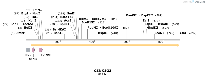 51717_map