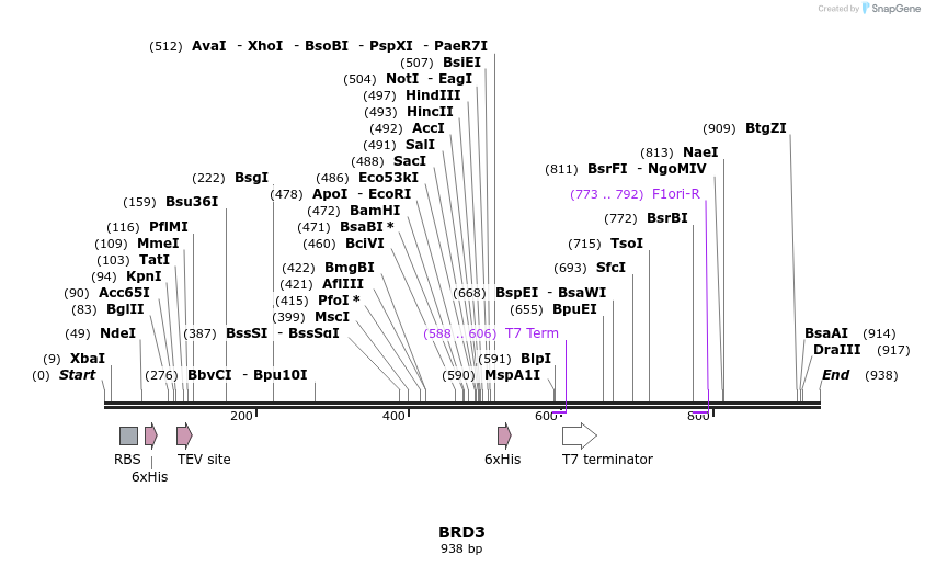51720_map