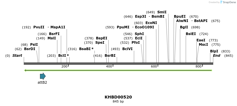 51726_map
