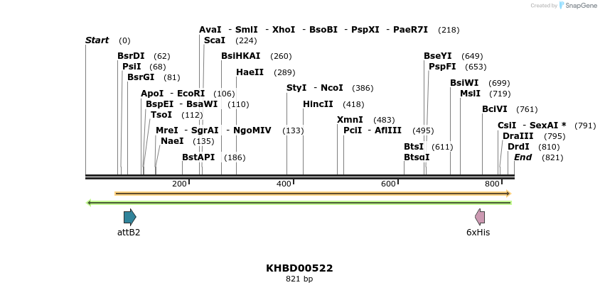 51728_map
