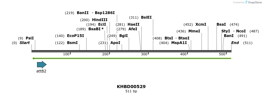 51730_map