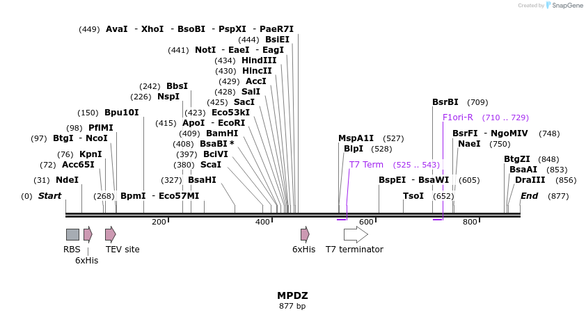 51731_map