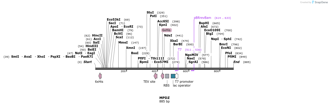 51732_map